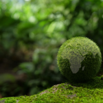 amazon-expands-global-carbon-free-energy