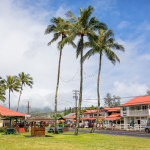 florida-moves-toward-major-property-tax-relief