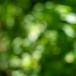 tennessee-pushes-new-fusion-test-facility